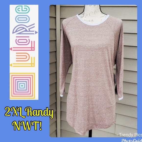 LuLaRoe Tops - FINAL SALE‼️ LuLaRoe, 2XL Solid Brown Randy Tee, NWT